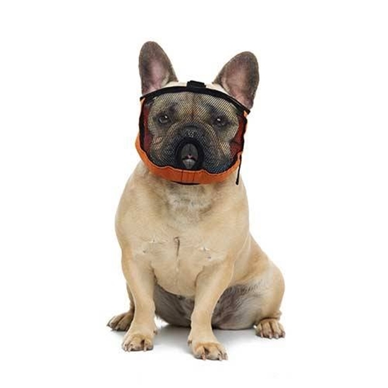 Picture of Muzzle for short nose dogs